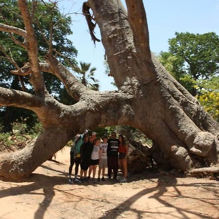 Centre Touristique Et Culturel Casamance Guest House Diakene Ouolof Luaran gambar