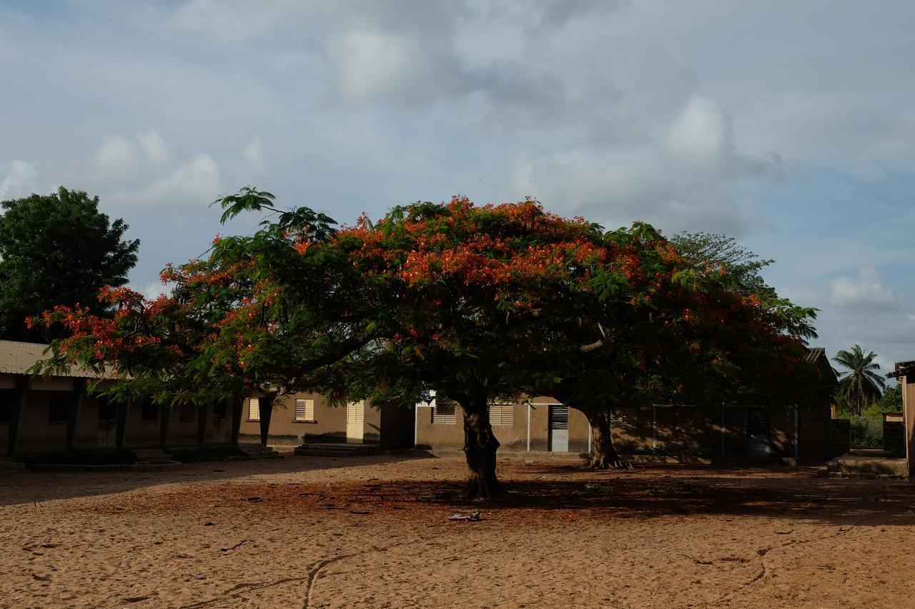 Centre Touristique Et Culturel Casamance Guest House Diakene Ouolof Luaran gambar