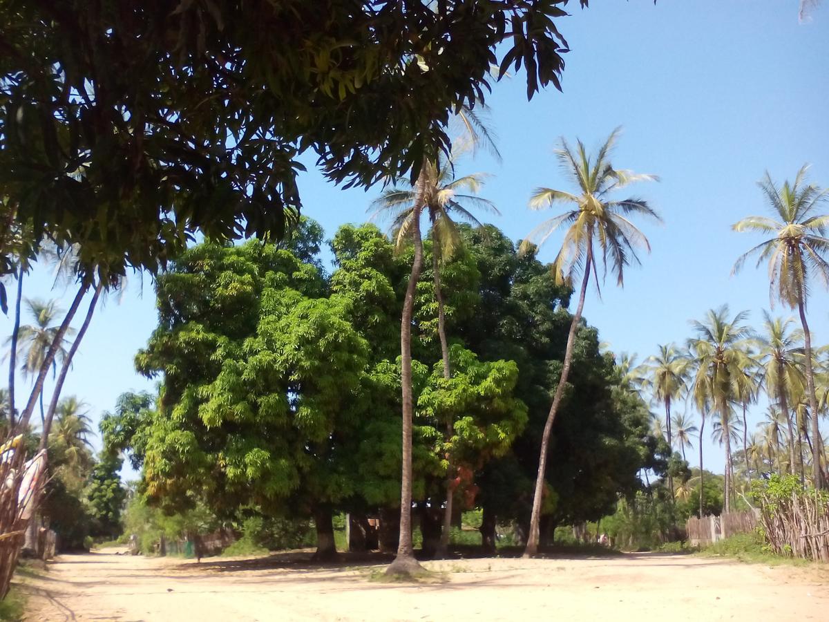 Centre Touristique Et Culturel Casamance Guest House Diakene Ouolof Luaran gambar