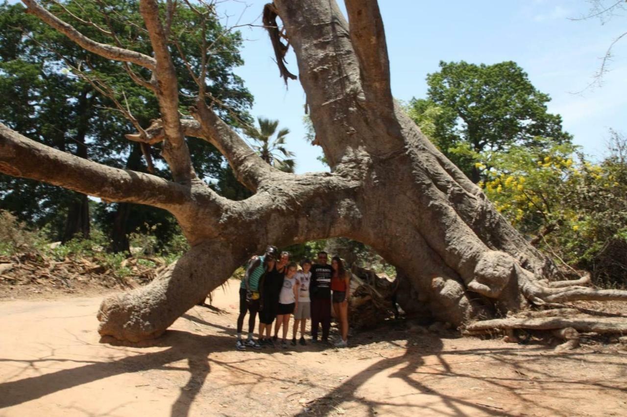 Centre Touristique Et Culturel Casamance Guest House Diakene Ouolof Luaran gambar