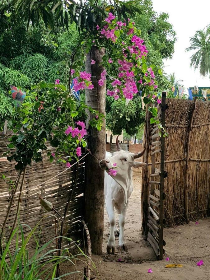 Centre Touristique Et Culturel Casamance Guest House Diakene Ouolof Luaran gambar