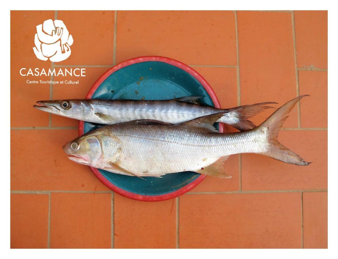 Centre Touristique Et Culturel Casamance Guest House Diakene Ouolof Luaran gambar